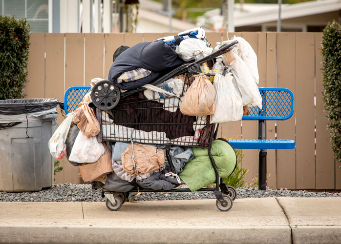 homeless cart